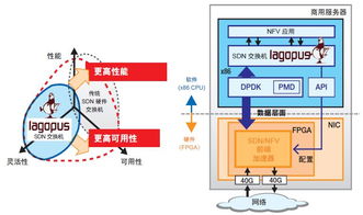 使用sdnet开发创新型可编程网络